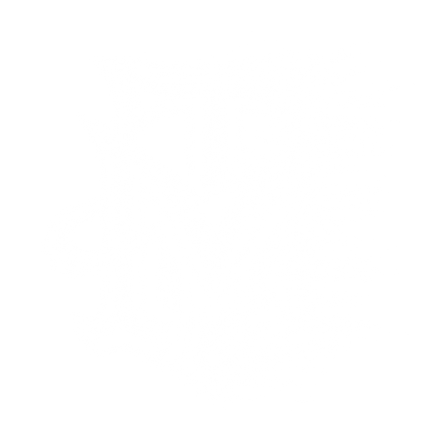Tomorrows Money logo